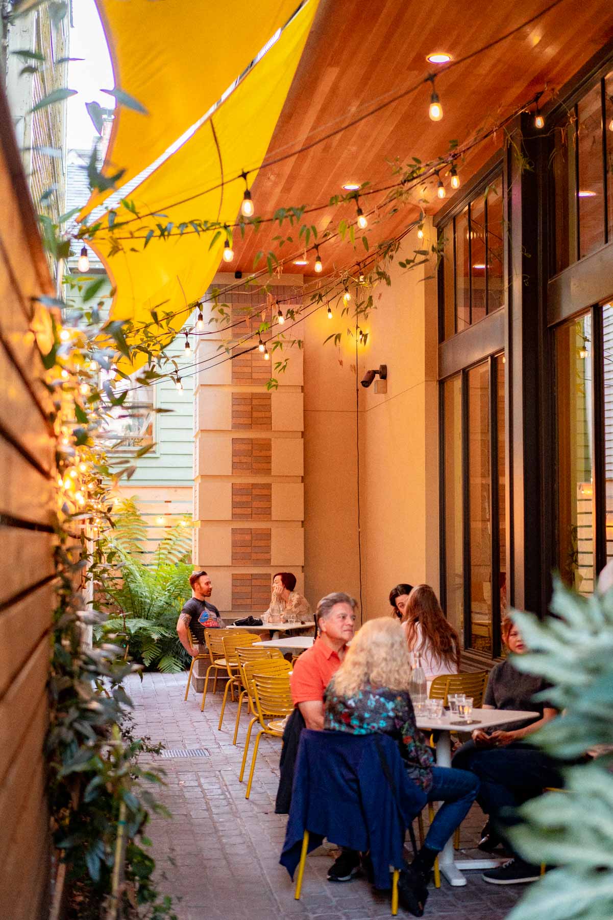 15 COZY Wine Bars in PORTLAND, Oregon The Thirsty Local